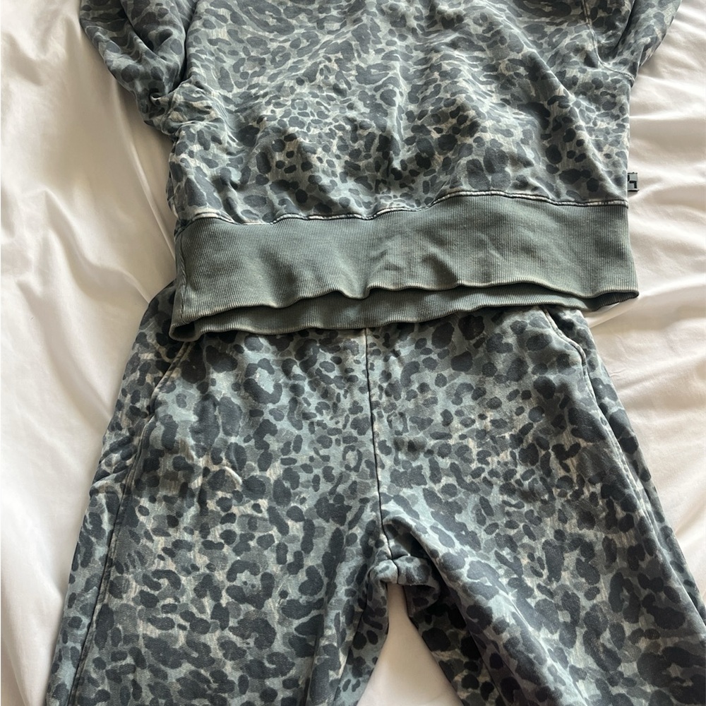 Gray Leopard Print Sweatshirt and Pants JoyLab set